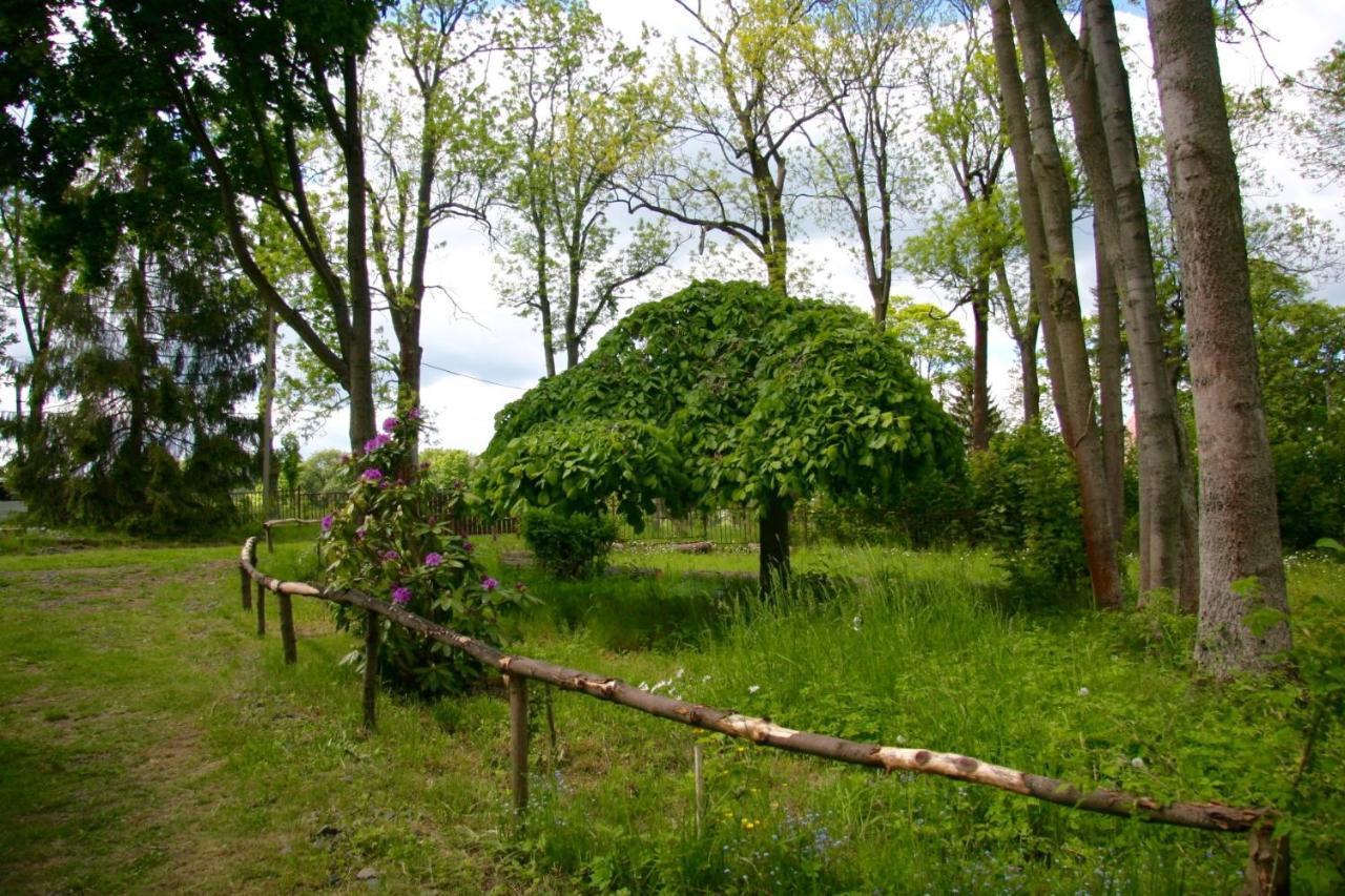 Villa Sunshine / Slunecna Vila Krásná Lípa Buitenkant foto