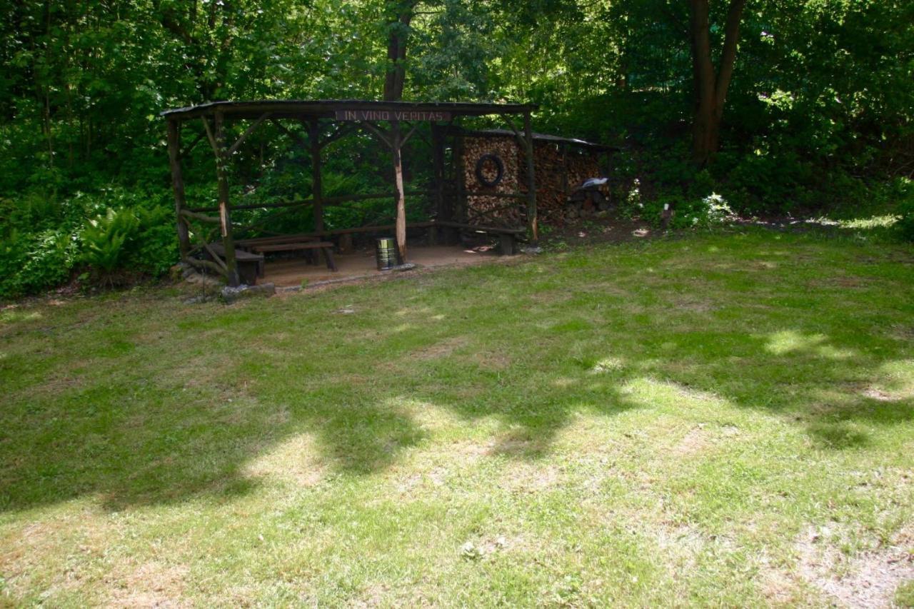 Villa Sunshine / Slunecna Vila Krásná Lípa Buitenkant foto